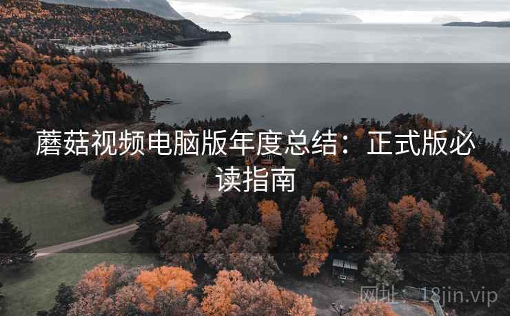 蘑菇视频电脑版年度总结：正式版必读指南