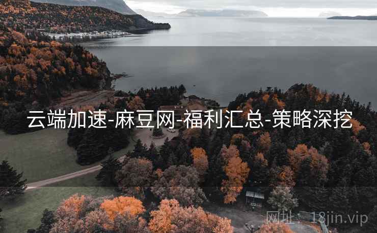 云端加速-麻豆网-福利汇总-策略深挖