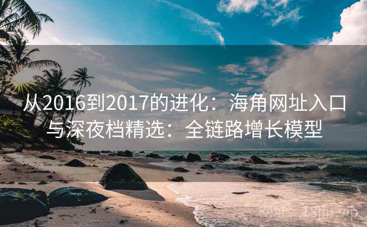 从2016到2017的进化：海角网址入口与深夜档精选：全链路增长模型