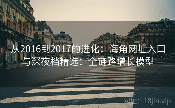 从2016到2017的进化：海角网址入口与深夜档精选：全链路增长模型