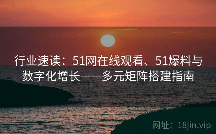 行业速读：51网在线观看、51爆料与数字化增长——多元矩阵搭建指南  第2张