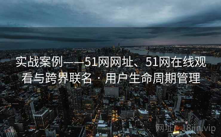 实战案例——51网网址、51网在线观看与跨界联名 · 用户生命周期管理  第1张