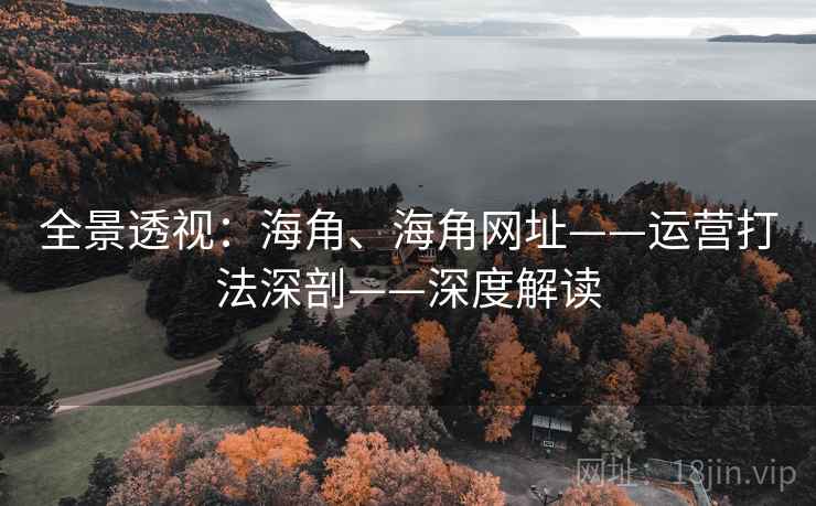 全景透视：海角、海角网址——运营打法深剖——深度解读  第2张