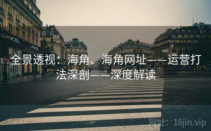 全景透视：海角、海角网址——运营打法深剖——深度解读  第1张