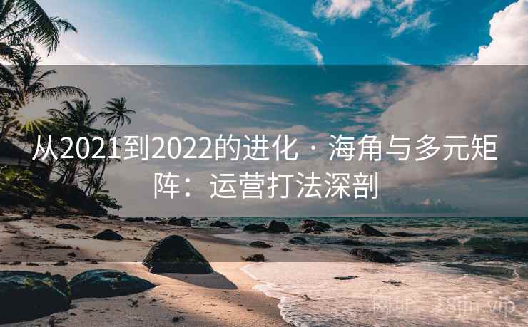从2021到2022的进化 · 海角与多元矩阵：运营打法深剖  第1张