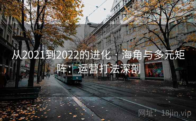 从2021到2022的进化 · 海角与多元矩阵：运营打法深剖  第2张