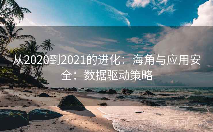 从2020到2021的进化：海角与应用安全：数据驱动策略  第1张