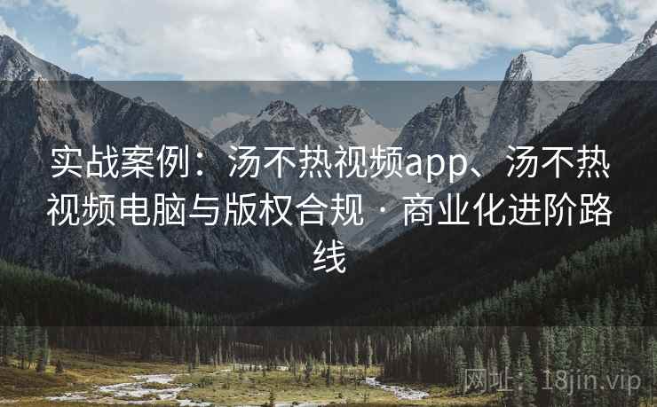 实战案例：汤不热视频app、汤不热视频电脑与版权合规 · 商业化进阶路线