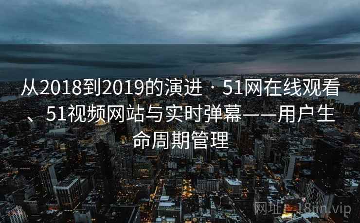 从2018到2019的演进 · 51网在线观看、51视频网站与实时弹幕——用户生命周期管理  第2张