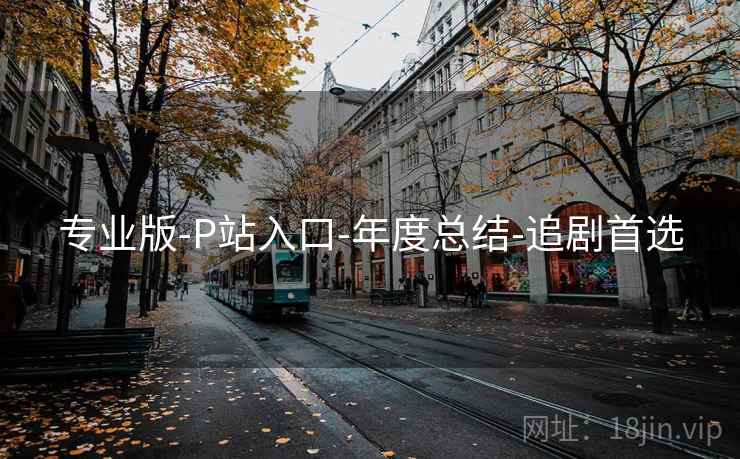 专业版-P站入口-年度总结-追剧首选