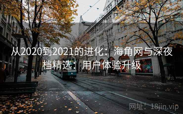从2020到2021的进化：海角网与深夜档精选：用户体验升级