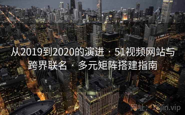 从2019到2020的演进 · 51视频网站与跨界联名 多元矩阵搭建指南  第2张