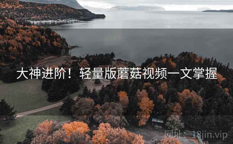 大神进阶！轻量版蘑菇视频一文掌握  第2张